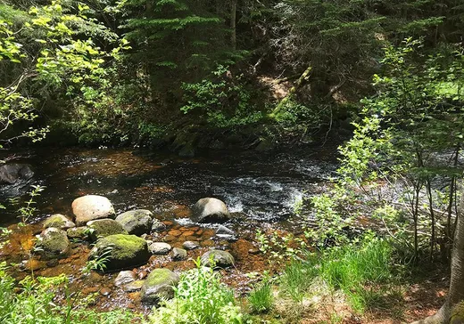 Land for Sale - X Rue de la Rivière, St-Tite-Des-Caps, G0A 4J0