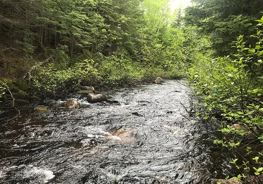 Land for Sale - X Rue de la Rivière, St-Tite-Des-Caps, G0A 4J0