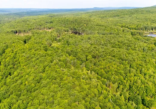 Land for Sale - 141 Ch. Gosford S., App. 645, Weedon, J0B 3J0