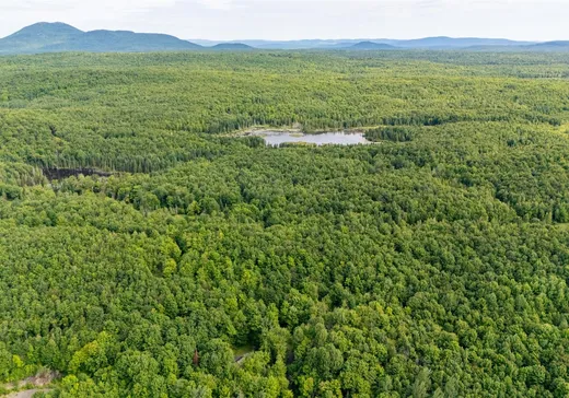 Land for Sale - 141 Ch. Gosford S., App. 657, Weedon, J0B 3J0