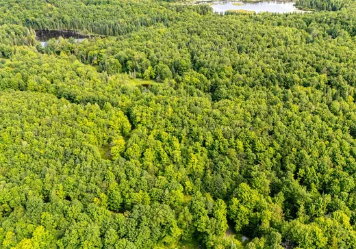 Land for Sale - 141 Ch. Gosford S., App. 657, Weedon, J0B 3J0