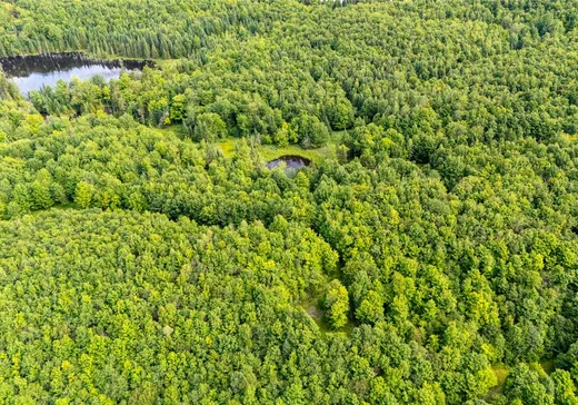 Land for Sale - 141 Ch. Gosford S., App. 657, Weedon, J0B 3J0