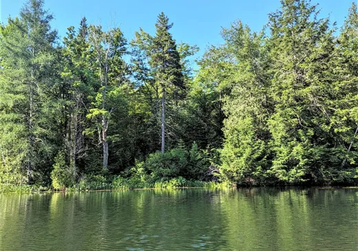 Land for Sale -  Ch. du Lac-St-Louis, Wentworth, J0T 1Y0