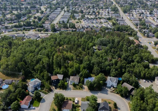 Land for sale - 278Z Rue Dorion, Val-d'Or, J9P5V7