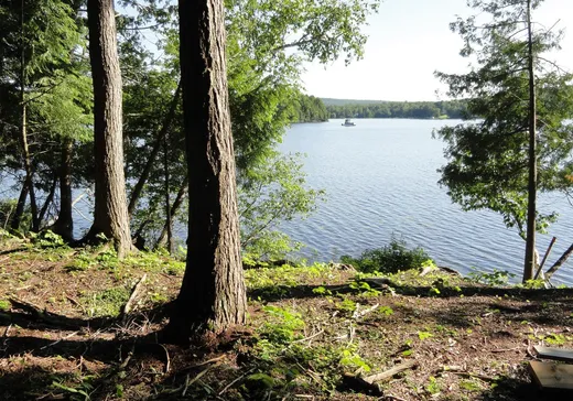 Terrain à vendre -  Mtée Prud'homme, Mont-Laurier, J0W 1H0