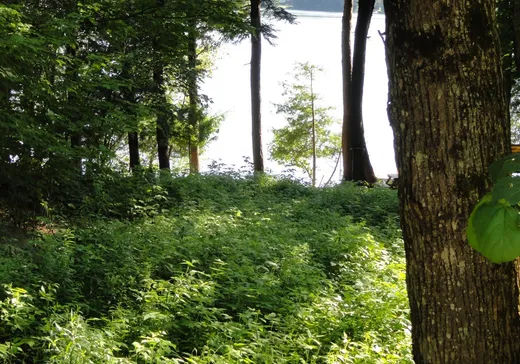 Terrain à vendre -  Mtée Prud'homme, Mont-Laurier, J0W 1H0