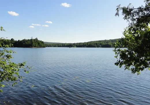 Terrain à vendre -  Mtée Prud'homme, Mont-Laurier, J0W 1H0