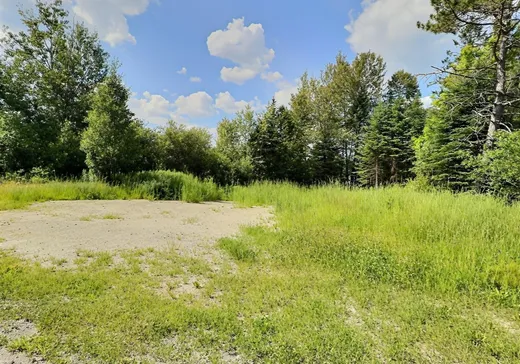 Land for Sale - 310 Ch. Nicholson, Lac-Mégantic, G0Y 1E0