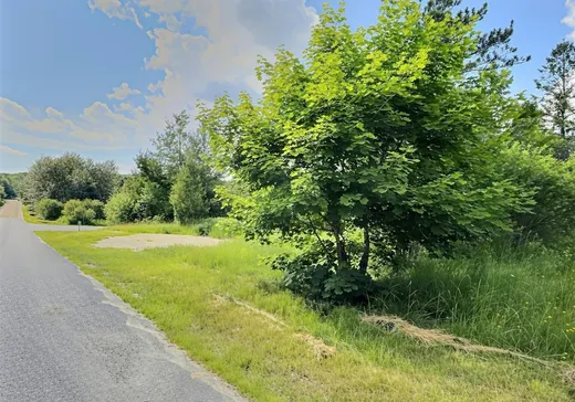 Land for Sale - 310 Ch. Nicholson, Lac-Mégantic, G0Y 1E0