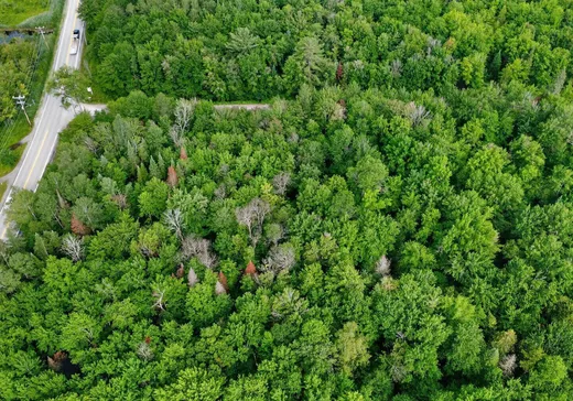 Land for Sale -  Route 335, Saint-Calixte, J0K 1Z0