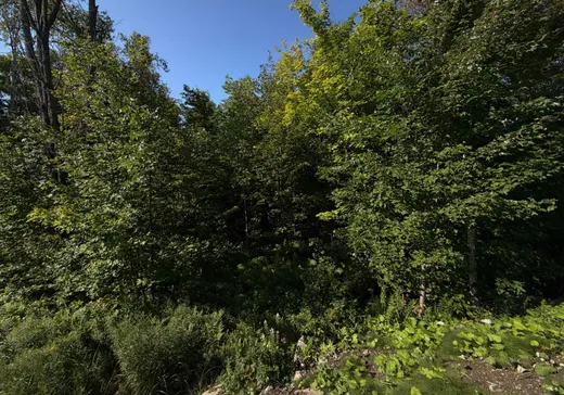 Land for Sale -  Rue de l'Excursion, Morin-Heights, J0R 1H0