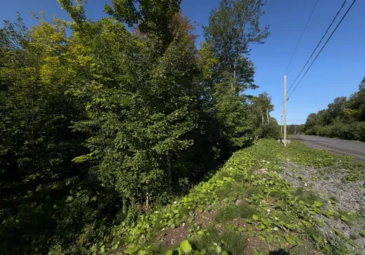 Land for Sale -  Rue de l'Excursion, Morin-Heights, J0R 1H0