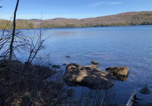Land for Sale - 8131 Lac-des-Écorces, Notre-Dame-de-la-Merci, J0T 1A0