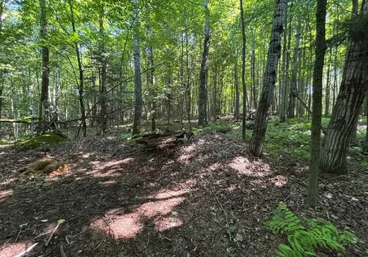 Terrain à vendre - 653A Route 143 S., Windsor, J1S 0G5