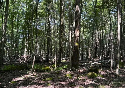 Terrain à vendre - 653A Route 143 S., Windsor, J1S 0G5