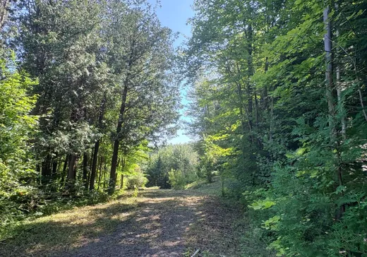 Land for Sale - 8 Rue des Bouleaux, Morin-Heights, J0R 1H0