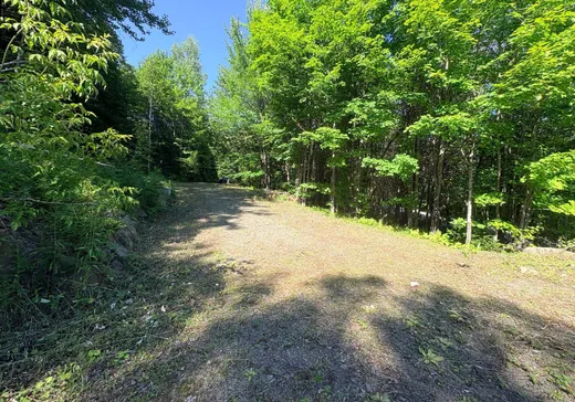 Land for Sale - 8 Rue des Bouleaux, Morin-Heights, J0R 1H0