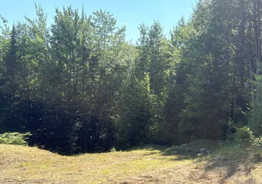 Land for Sale - 8 Rue des Bouleaux, Morin-Heights, J0R 1H0