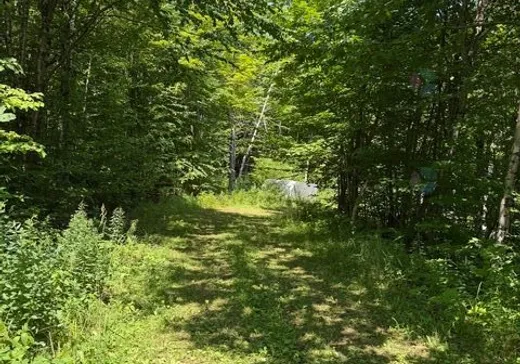 Terrain à vendre - 59 Ch. Nancy, Notre-Dame-Des-Boies, J0B 2E0
