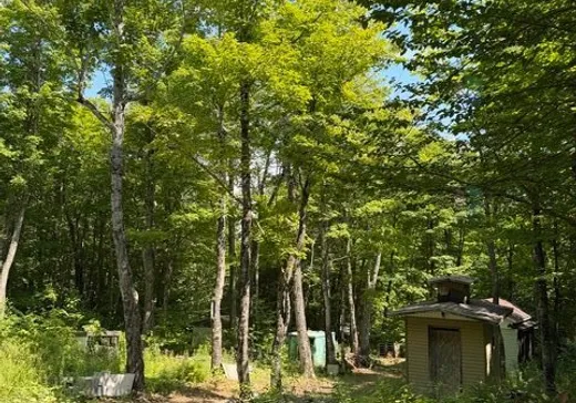 Terrain à vendre - 59 Ch. Nancy, Notre-Dame-Des-Boies, J0B 2E0