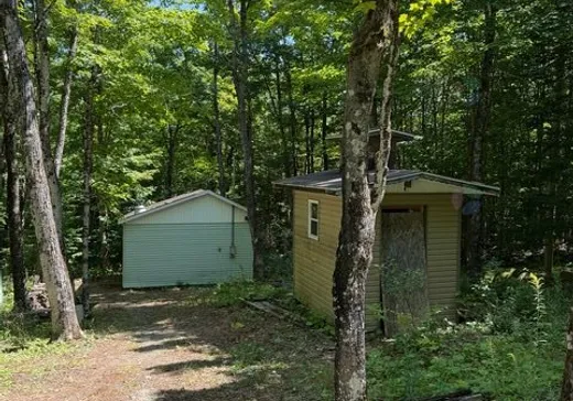 Terrain à vendre - 59 Ch. Nancy, Notre-Dame-Des-Boies, J0B 2E0