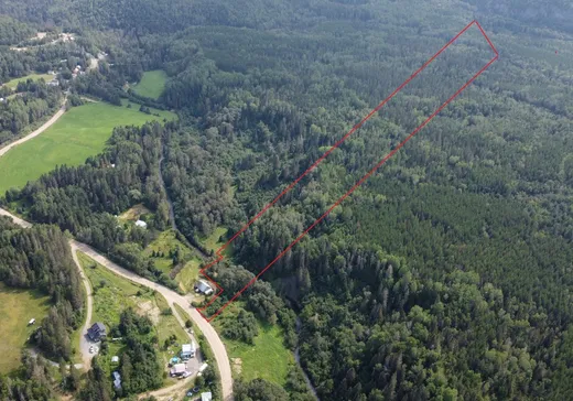Land for Sale -  Ch. Snigole, Clermont, G4A 1B1