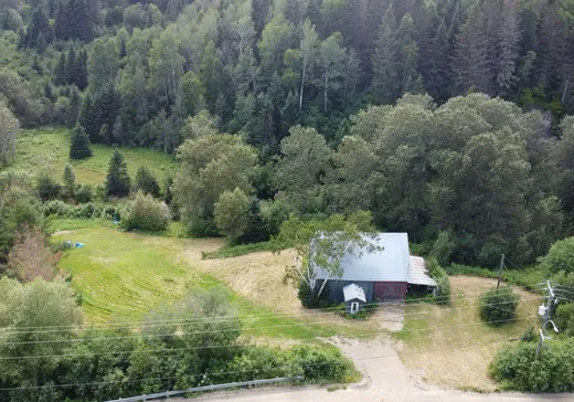 Land for sale - 18 Ch. Snigole, Clermont, G4A1B1