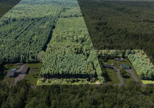 Terrain à vendre - 624 12e-et-13e Rang O., Sainte-Françoise, G0S2N0