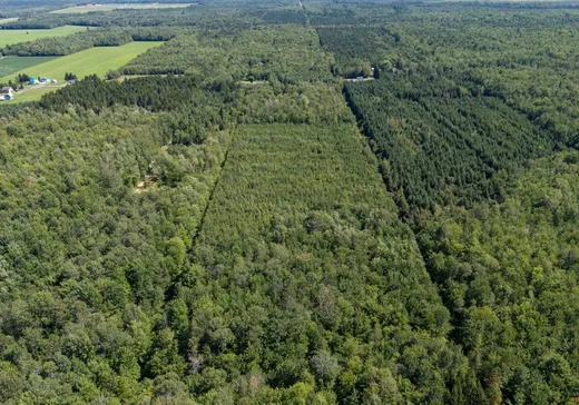 Terrain à vendre - 624 12e-et-13e Rang O., Sainte-Françoise, G0S 2N0