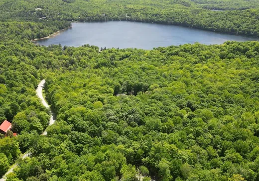 Terrain à vendre - 1 Ch. Simard, Magog, J1X7R3