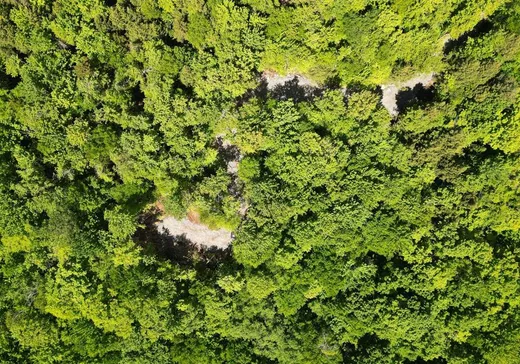 Terrain à vendre - 1 Ch. Simard, Magog, J1X 7R3