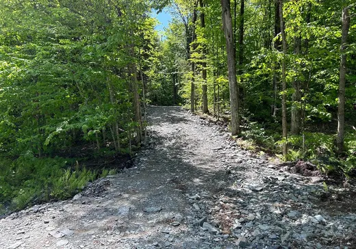 Terrain à vendre - 1 Ch. Simard, Magog, J1X 7R3