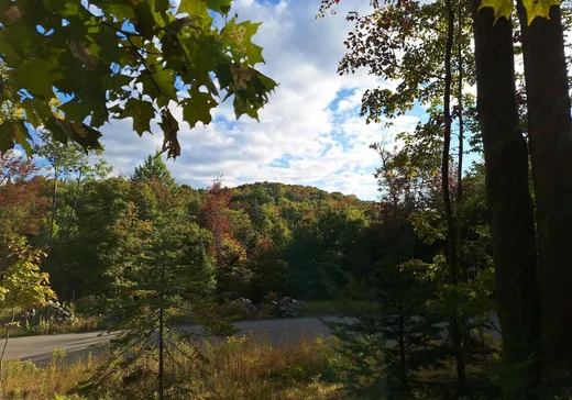 Terrain à vendre -  Ch. du Renard, Saint-Sauveur, J0R 1R1