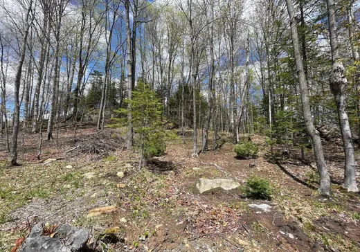 Terrain à vendre -  Ch. du Renard, Saint-Sauveur, J0R 1R1