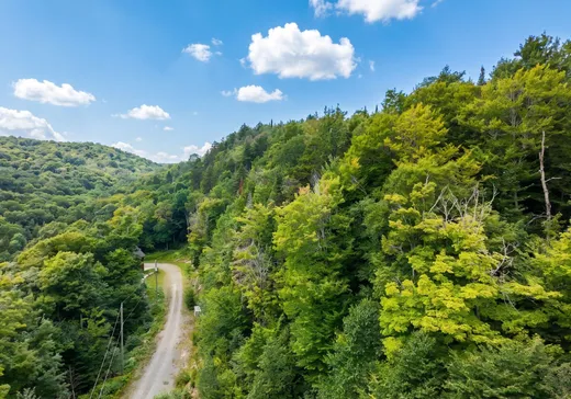 Terrain à vendre -  Route Principale, Wentworth, J0T 1Y0