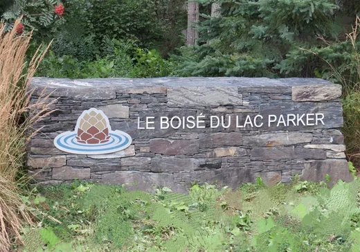 Land for Sale - 30 Rue des Faux-Trembles, Eastman, J0E 1P0