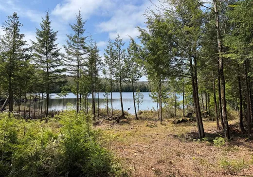 Land for Sale - 9 Route des Érables, Mont-Tremblant, J0T 1M0