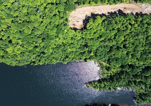 Land for Sale - 9 Route des Érables, Mont-Tremblant, J0T 1M0