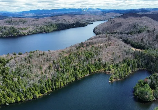Land for Sale - 10 Route des Érables, Mont-Tremblant, J0T 1M0