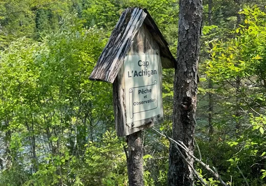 Land for Sale - 10 Route des Érables, Mont-Tremblant, J0T 1M0