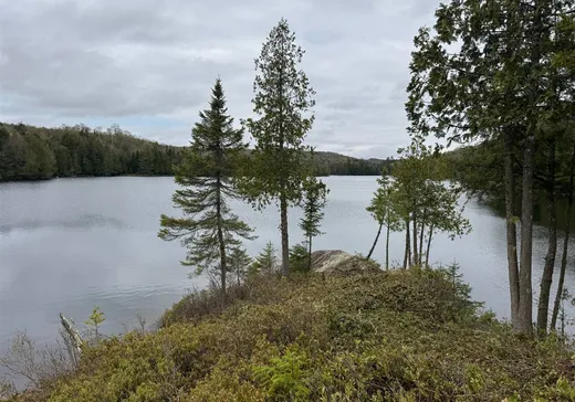 Land for Sale - 10 Route des Érables, Mont-Tremblant, J0T 1M0