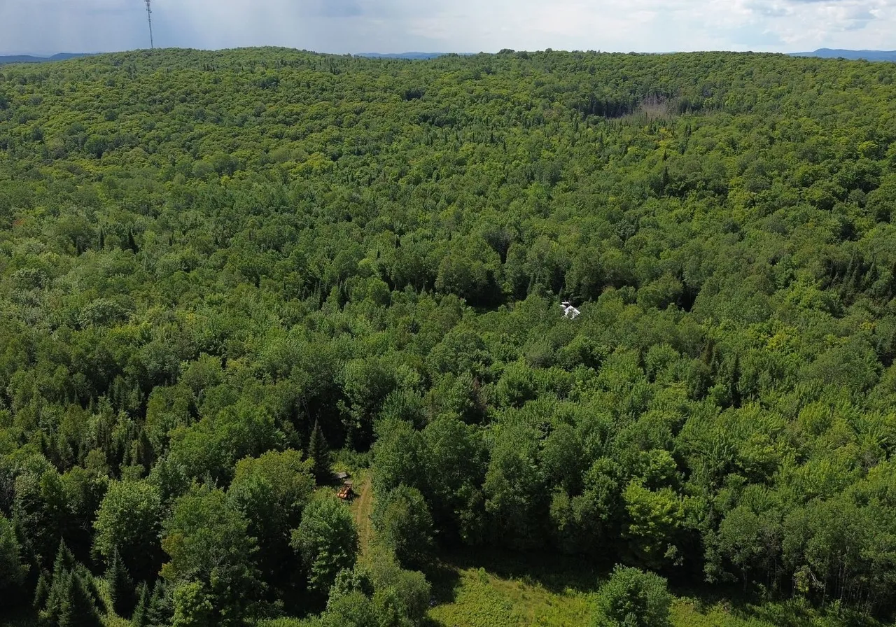 Mtée Alexandre — photo 2