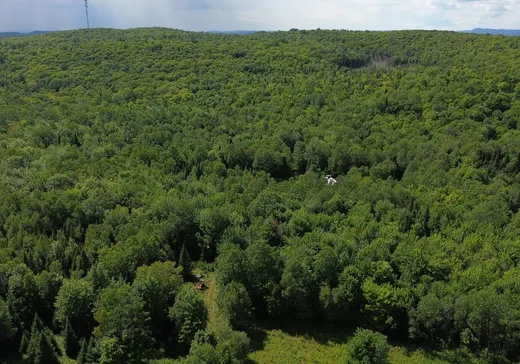 Land for Sale -  Mtée Alexandre, La Minerve, J0T 1S0