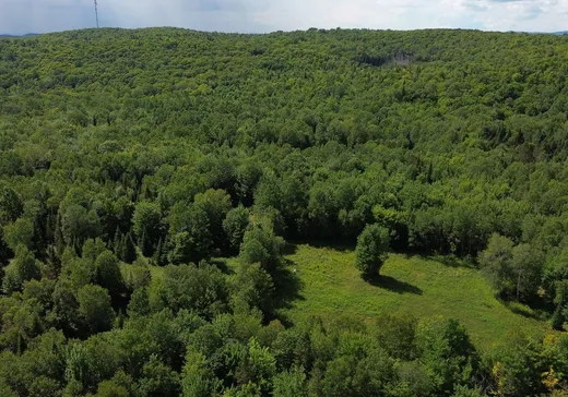 Land for Sale -  Mtée Alexandre, La Minerve, J0T 1S0