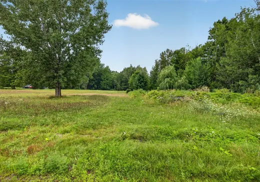 Terrain à vendre - 85 Rue Reid, Drummondville, J2B 8S2