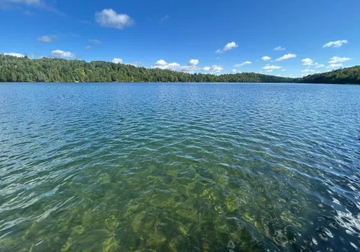 Land for Sale -  Rue du Lac-des-Sommets, Sainte-Marguerite-du-Lac-Masson, J0T 1L0