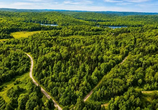 Terrain à vendre - 11 Ch. Gerta, Otter Lake, J0X2P0