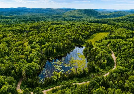 Terrain à vendre - 11 Ch. Gerta, Otter Lake, J0X 2P0