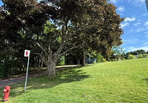 Land for Sale - 1473 Rue des Pionniers, St-Nicolas, G7A 4L9