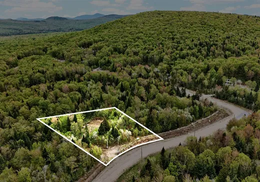 Land for Sale - 53 Ch. du Mélèze, Notre-Dame-Des-Boies, J0B 2E0